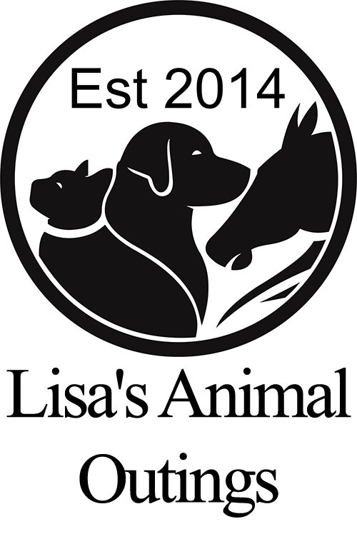 Lisa's Animal Outings